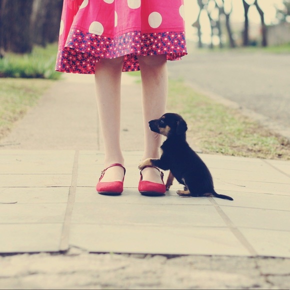 Hi-ya! - Picture 11 of 16